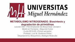 Lec033 Metabolismo nitrogenadoBiosíntesis y degradación de pirimidinas umh1700 20192020 [upl. by Aihsekram]