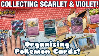 ORGANIZING Pokémon CARDS Stellar Crown Obsidian Flames amp Twilight Masquerade Gotta Collect em All [upl. by Karla576]