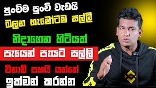 online job sinhala  online job at home sinhala  E money sinhala  online salli hoyana karama [upl. by Tobit767]