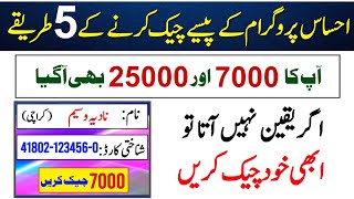 Ehsaas Program Ke Paise Kaise Check Karen  BISP Payment Check By CNIC  7000 Check Karne Ka Tarika [upl. by Merril453]