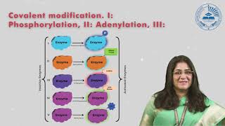 Methods of regulation of enzymes for metabolic regulation [upl. by Ahsienar597]