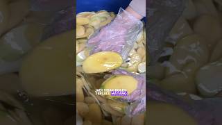 INTIPP‼️ PROSES BUAT KRIPIK MANGGA🥭‼️REMAJA SUKSES OMSET JUTAAN HARI HANYA DENGAN BISNIS ONLINE💸 [upl. by Cohen]