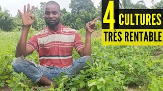 PARTIE 2  Devenez RICHE grâce à ces 4 cultures très RENTABLE dans l AGROBUSINESSinvestir au pays [upl. by Huba]