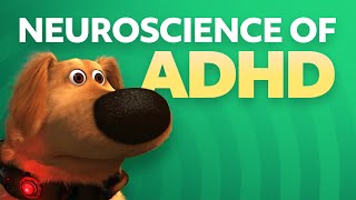 Neuroscience of ADHD [upl. by Mabelle628]