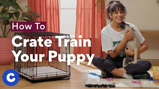 How To Crate Train a Puppy  Chewtorials [upl. by Martie90]