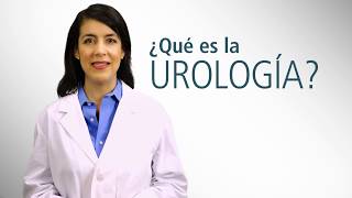 Introducción a la Urología  Urology Care Foundation [upl. by Siesser235]