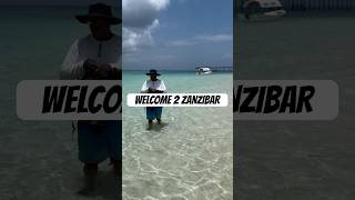 Zanzibar is paradise zanzibar africa travel island tanzania [upl. by Rubin777]