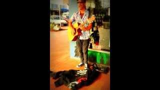 Nev Rolston Singing Pimpers Paradise in Rotoruas CBD [upl. by Doloritas]