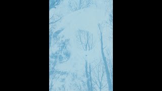 Halloween Cyanotype Process photography halloweenart fypyoutube roadto1ksubs [upl. by Asirralc]