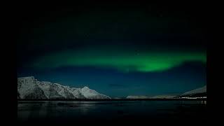 Northern Lights seen from the beach at Spåkenes timelapse [upl. by Iidnarb282]