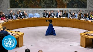 Security Council Adopts Humanitarian Pause Resolution  IsraelPalestine Crisis  United Nations [upl. by Aryahay824]