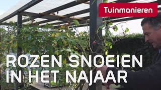 Rozen snoeien in het najaar hoe snoei je de klimroos  Tuinmanieren [upl. by Neeloc]