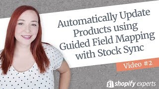 Automatically Update Products using Guided Field Mapping with Stock Sync [upl. by Elliven]