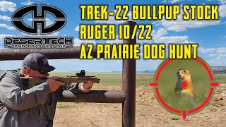 Desert Tech TREK22  Ruger 1022 Bullpup Stock  Overview with Prairie Dog Hunt [upl. by Elihu]