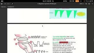 physiologie respiratoire centre respiratoire [upl. by Aileme]