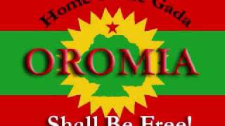 new 2018 Oromo music kadir said ABO [upl. by Otit827]