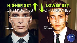 Higher Set Vs Lower Set Cheekbones  Whats More Attractive  blackpill [upl. by Wit]