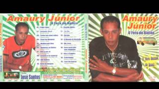 Cd Completo Amaury Junior Vol 10 [upl. by Ecneralc]