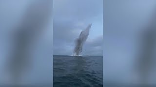 WWII bomb detonated in waters by Danish army  AFP [upl. by Zohar]