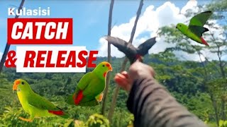 Kulasisi hunting  Catch and release animals birds doublehunting birds happyhunting hunting [upl. by Nylzzaj]