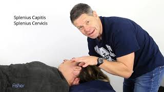 How To Massage  Splenius Capitis and Splenius Cervicis Muscles [upl. by Ladnek584]