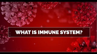 What the Immunity and Immune System [upl. by Lucier]