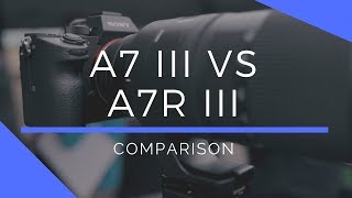 Sony A7R III vs A7 III Comparison [upl. by Sivek2]