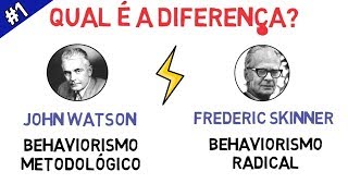 BEHAVIORISMO  Entenda a Diferença entre Metodológico e Radical em Apenas 5 Minutos [upl. by Jonati814]