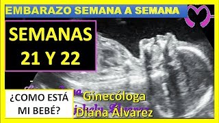 SEMANA 21 Y 22 DE EMBARAZO SEMANA A SEMANA POR GINECOLOGA DIANA ALVAREZ [upl. by Artemas]