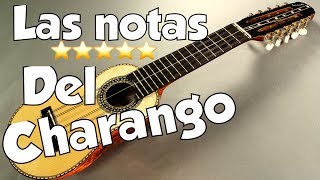 las notas del charango [upl. by Deland]