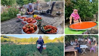 ATA TOHUMU DOMATESLERDEN KÖY SALÇASI YAPTIK  KURUMADI GERİ TOPLADIM  HAMİŞ ABLAYA GİTTİK İŞ BİTMEZ [upl. by Raquel434]