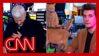 Anderson Cooper completely loses it as John Mayer dials in from a cat bar [upl. by Lebyram]