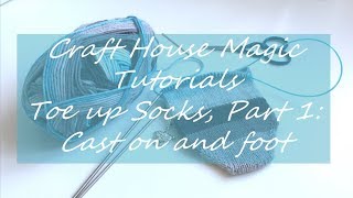 Customizable Toe Up Sock Tutorial Part 15 [upl. by Holna]