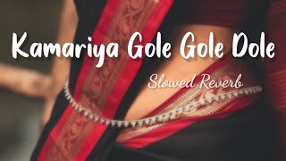 Kamariya Dole slowed reverb   kamriya gole gole dole Raj ji lofi song [upl. by Nnaaihtnyc]