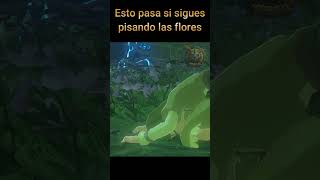 Link sigue pisando las flores │ Zelda BOTW zelda botw curiosidades [upl. by Franciscka331]