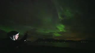 AURORA BOREALIS LIVE from Norway 🇳🇴 [upl. by Utham]