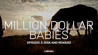 Million Dollar Babies Risk And Reward [upl. by Erdne]