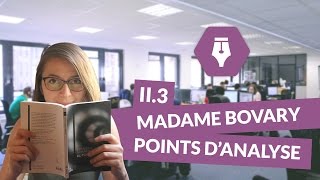 Lecture commentée de Madame Bovary Partie II Chapitre 3 Points d’analyse  Littérature [upl. by Blossom]