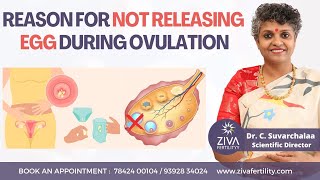 Ovulation Problems  Anovulation  Fertility Tips  Dr C Suvarchalaa  ZIVA Fertilityy [upl. by Nino]