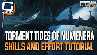 Torment Guide  Skills amp Effort Tutorial [upl. by Heady423]