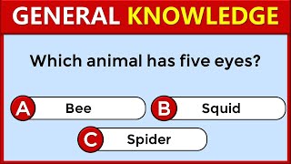 30 General Knowledge Questions How Good Is Your General Knowledge challenge 199 [upl. by Jemmie692]