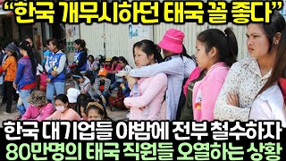 속보 한국 대기업들 야밤에 전부 철수하자 80만명의 태국 직원들 오열하는 상황 [upl. by Mak]