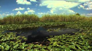 Big Cypress Swamp Western Everglades  Part 1 of 4 [upl. by Aynnat]