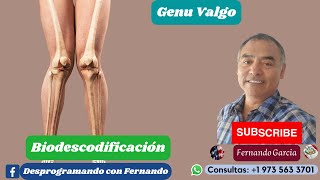 GENU VALGO BIODESCODIFICACION [upl. by Nohsyt805]