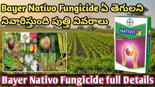 NATIVO FUNGICIDE FULL DETAILS IN TELUGU  Bayer Nativo Dose price in telugu bayer nativo in telugu [upl. by Adnarem]