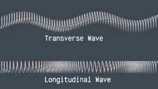 Transverse and Longitudinal Harmonic Waves [upl. by Roydd]