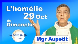 Homélie du Dimanche 29 Octobre  Avec Mgr Aupetit [upl. by Oberstone891]