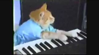 Keyboard Cat loop [upl. by Gregrory203]