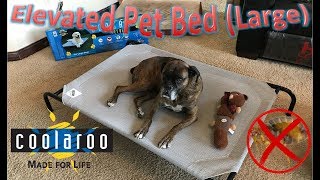 Coolaroo Elevated Pet Bed Large [upl. by Tombaugh722]