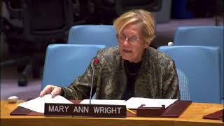 Former Army Colonel Ann Wright Condemns Israeli Weapons Sales at UN [upl. by Ogir]